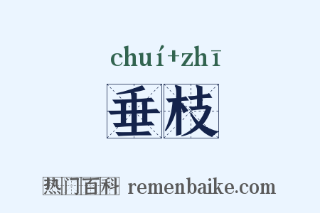 垂枝是什么意思的图片